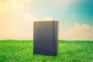 سیپی در بازی Call of Duty: Mobile